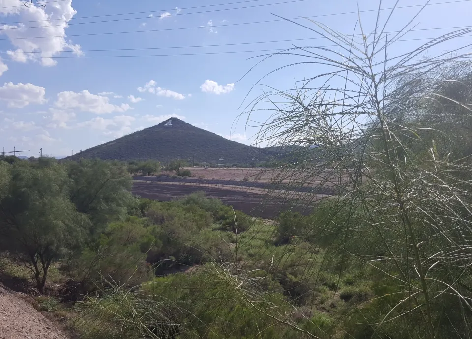 tucson 2